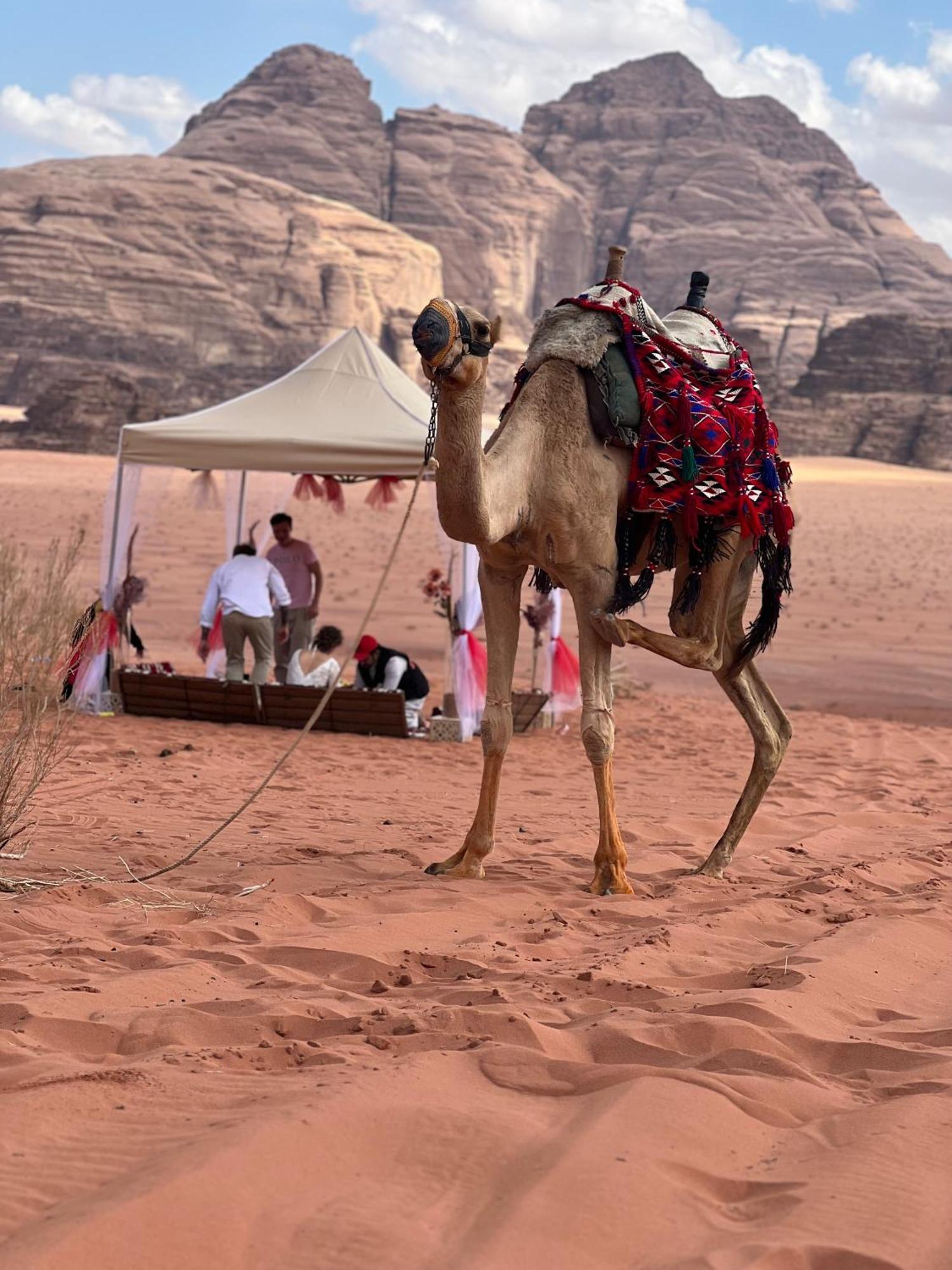 Rum revan camp Wadi Rum Exterior foto
