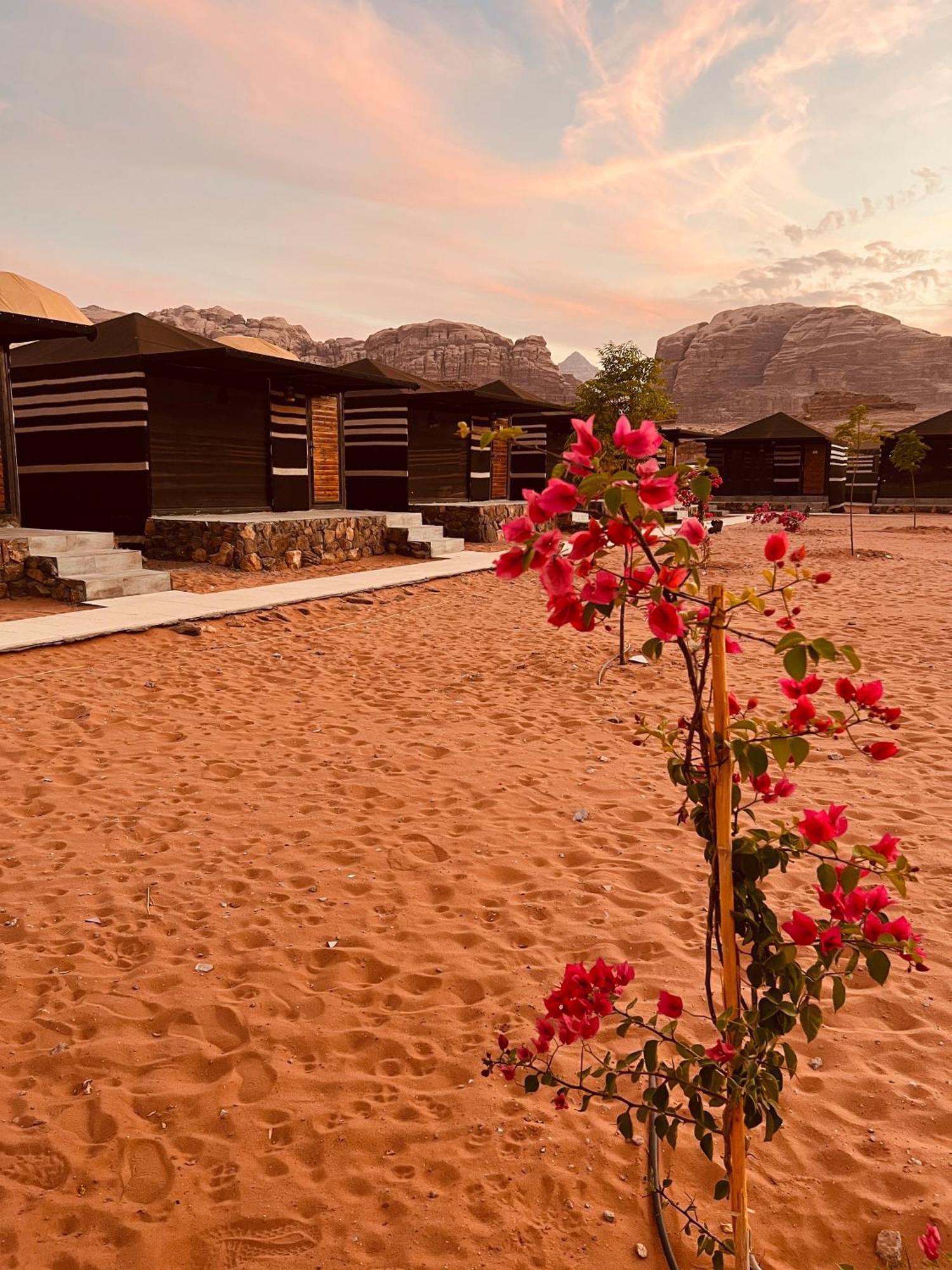 Rum revan camp Wadi Rum Exterior foto