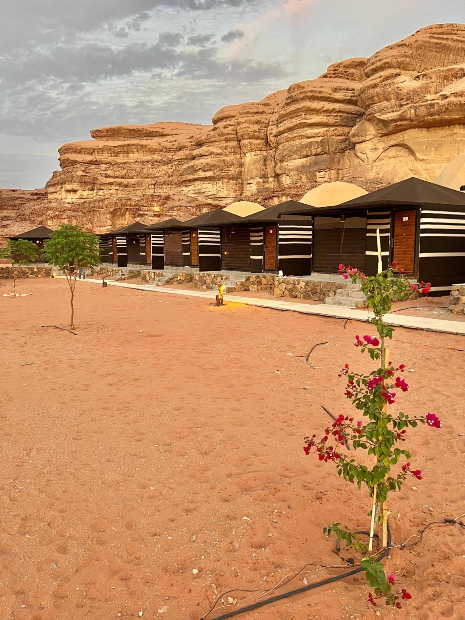 Rum revan camp Wadi Rum Exterior foto